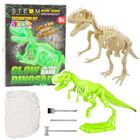 Lean Toys, wykopaliska szkielet i narzędzia, fluorescencyjny dinozaur