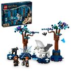 LEGO Harry Potter, Zakazany Las: magiczne stworzenia, 76432