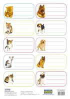 Literat, naklejki na zeszyty, psy i koty