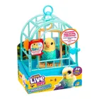 Little Live Pets, Mój Prawdziwy Ptaszek, Indie, ćwierkający ptaszek w klatce, zabawka interaktywna, niebieski