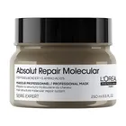 L'Oreal Professionnel, Serie Expert Absolut Repair Molecular, maska wypełniająca strukturę molekularną włosów, 250 ml