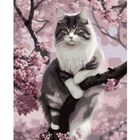 Maaleo, malowanie po numerach, kotek, 40-50 cm