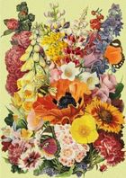 Madame Treacle, karnet B6 z kopertą, Kwiaty