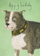 Madame Treacle, karnet B6 z kopertą urodziny Pies