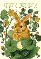 Madame Treacle, karnet urodzinowy z kopertą B6, Królik w kapuście