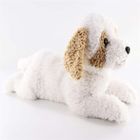 Madej, Hawańczyk, pies leżący, maskotka, 60 cm