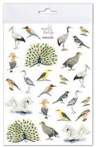 Mama Maluje, naklejki, ptaki 2