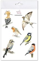 Mama Maluje, naprasowanki na ubrania, Ptaki