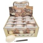 Merkpol, jajo archeologiczne, zestaw do odkrywania, 1 szt.