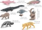 Merkpol, zwierzęta Ameryki Południowej, zestaw figurek