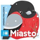 Miasto. Okienka maluszka