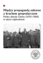 Między propagandą sukcesu a krachem gospodarczym