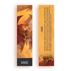 Molom, zakładka do książki, Raróg