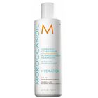 Moroccanoil, Hydrating Conditioner, nawilżająca odżywka do włosów, 250 ml