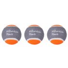 Mountain Paws, piłki tenisowe do miotacza piłek dla psa, 3 szt.