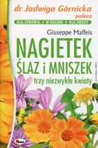 Nagietek, ślaz i mniszek. Dr Jadwiga Górnicka poleca