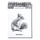 Narcissus, szkicownik na spirali, A6, 60 kartek, Wiewiórka, 1 szt.