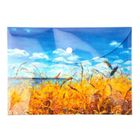 Narcissus, teczka kopertowa, A5, niebo, 1 szt.