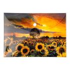 Narcissus, teczka kopertowa, A5, słoneczniki, 1 szt.