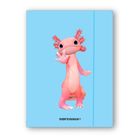 Narcissus, Teddies, teczka z gumką A4, Aksolotl