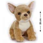National Geographic, Chiwawa, maskotka, 26 cm