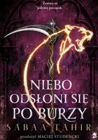 Niebo odsłoni się po burzy