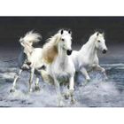 Norimpex, Diamentowa mozaika 5D, Konie