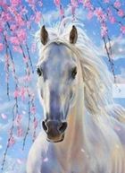 Norimpex, Diamentowa mozaika, Koń