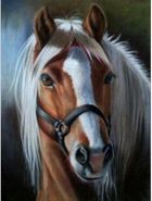 Norimpex, diamentowa mozaika, Koń z jasną grzywą
