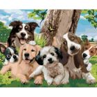 Norimpex, Diamentowa mozaika, Psia rodzina, zestaw kreatywny