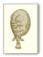 Notatnik ozdobny A5, 64 kartki, 1 szt.