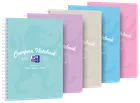 Oxford, Campus, kołozeszyt B5, 80 kartek, kratka, Pastel, 1 szt.