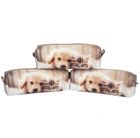 Pajacyk, piórnik 1-komorowy, przyjaciele