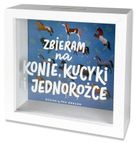 Pan Dragon, Home, skarbonka, Konie, kucyki