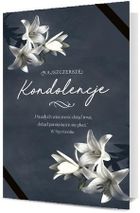 Pan Dragon, karnet B6, Kondolencje