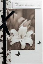 Pan Dragon, karnet, Kondolenje