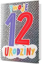 Pan Dragon, karnet, Urodziny 12