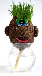 Pan Trawiastogłowy, zabawka edukacyjna