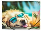 Panta Plast, teczka A4, Chillout Dog, 1 szt.