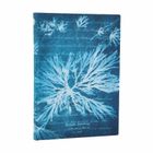 Paperblanks, Sea Flowers, notatnik, linia, midi