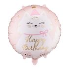PartyDeco, balon foliowy, pastylka, kotek, 35-35 cm