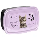 Paso, lunchbox, Striped Cat