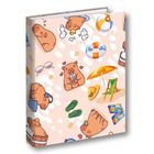 Penmate, segregator A4/2R, kapibara plaża