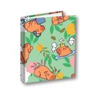 Penmate, segregator A5/2R, kapibara łąka