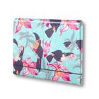 Penmate, teczka łamana na gumkę, A4, nierysująca, tukan