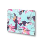 Penmate, teczka łamana na gumkę, A5, nierysująca, tukan