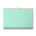 Penmate, teczka z przegródkami A4, pastelowa