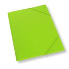 Penword, teczka z gumką, plastikowa, A4, jasnozielona