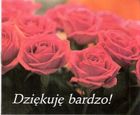 Perełka 156. Dziękuję bardzo!