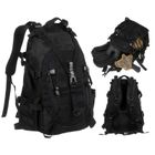 Peterson, plecak militarny, czarny